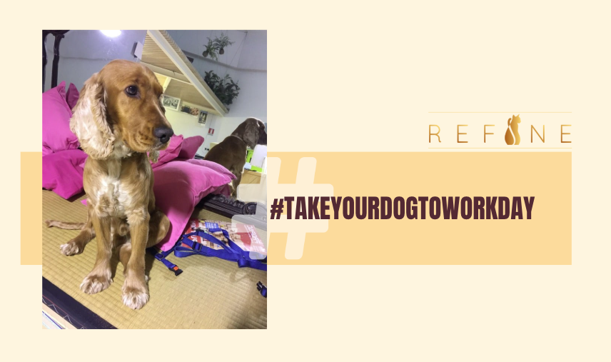 Refine Pet Foods, Take your dog to work