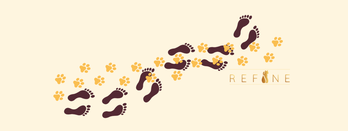Animali da compagnia e benessere umano: il prezioso legame con cani e gatti by Refine Pet Foods