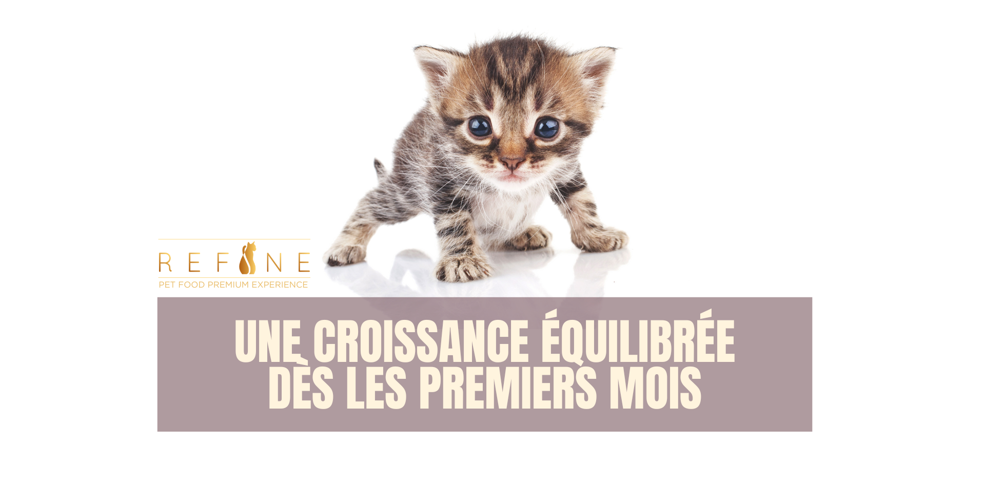 Une croissance équilibrée dès les premiers mois