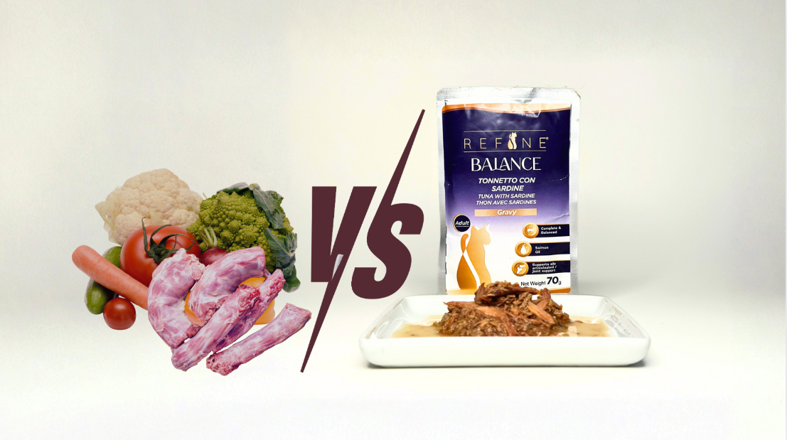 REFINE PET FOODS NEWS_ Raw Feeding: rischi e benefici per cani e gatti