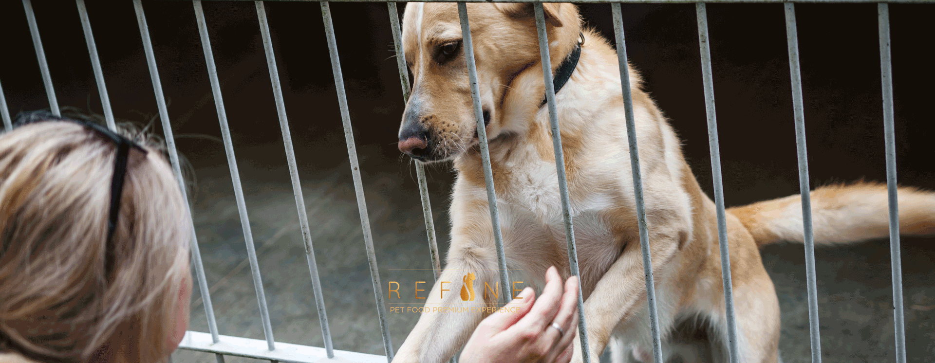 REGALI-UTILI-PET