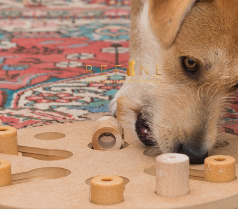 Regali-oroginape per pet-home