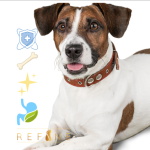 Refine Pet Foods Supplements