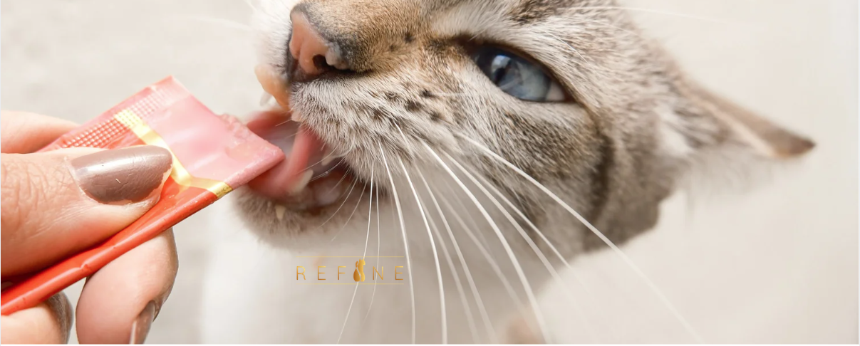 Refine Pet Foods Snacks rotation